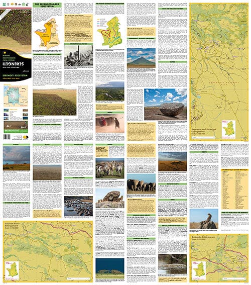 Carte détaillée - Serengeti, Masai Mara, Ngorogoro and Oldupai | Harvey Maps carte routière Harvey Maps
