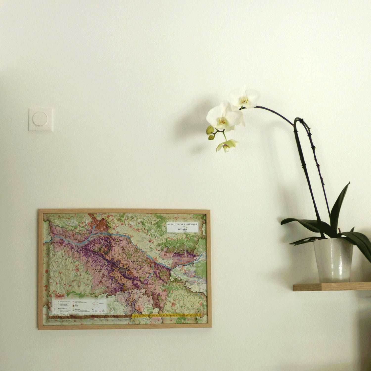 Carte murale en relief - Vignobles de l'Anjou - 61 cm x 41 cm | 3D Map carte en relief 3D Map