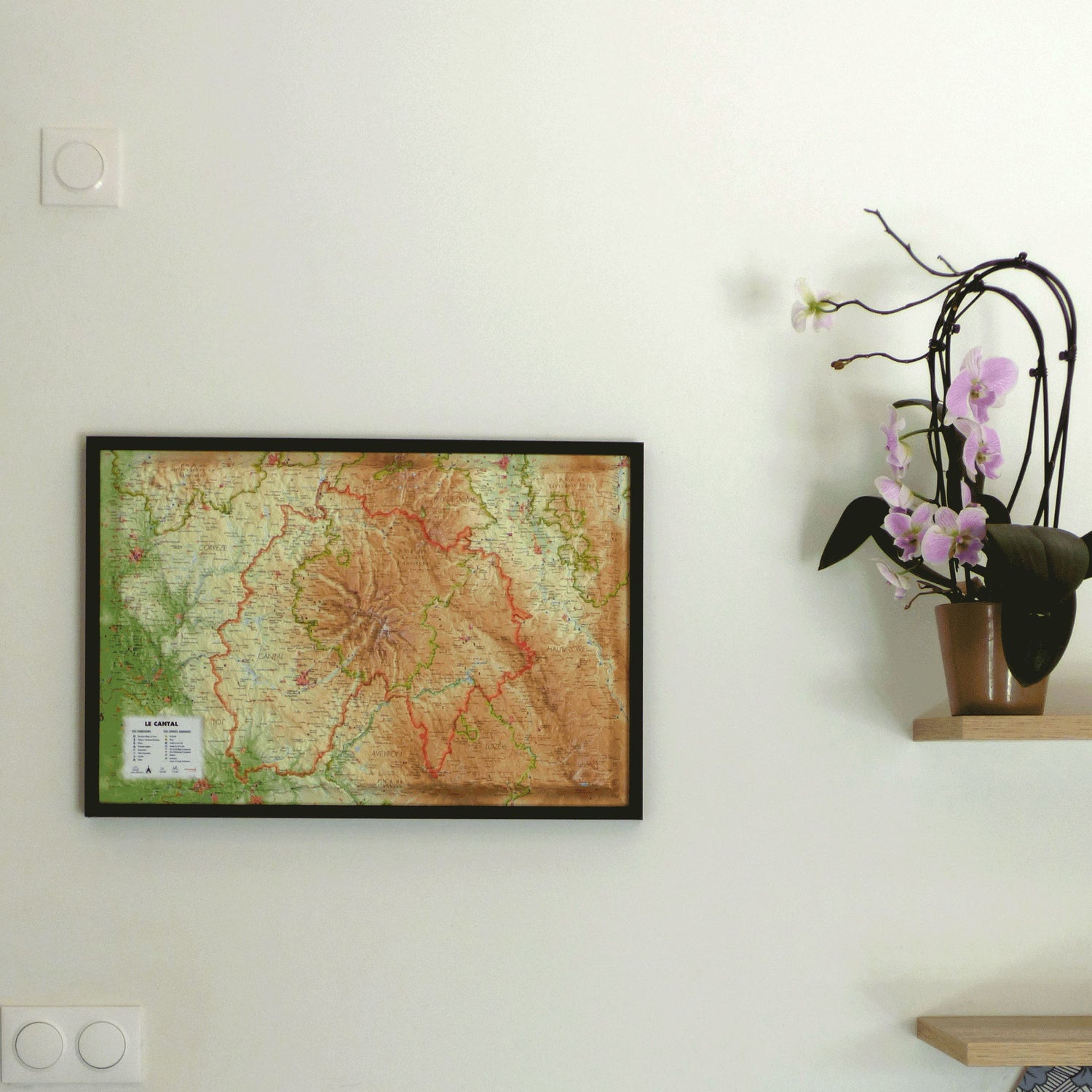 Carte murale en relief - Cantal - 61 cm x 41 cm | 3D Map carte en relief 3D Map