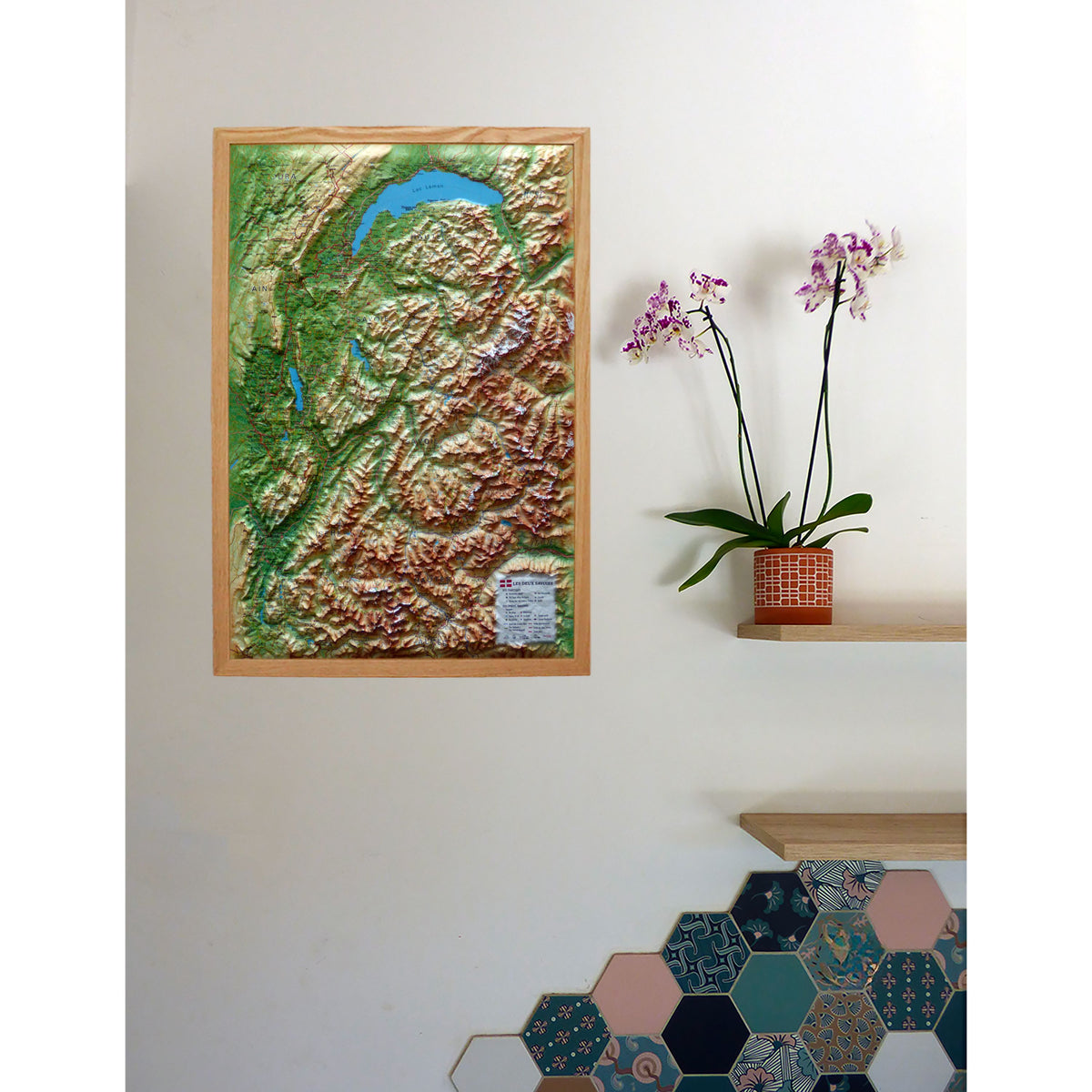 Carte murale en relief - Les deux Savoies - 41 cm x 61 cm | 3D Map carte en relief 3D Map