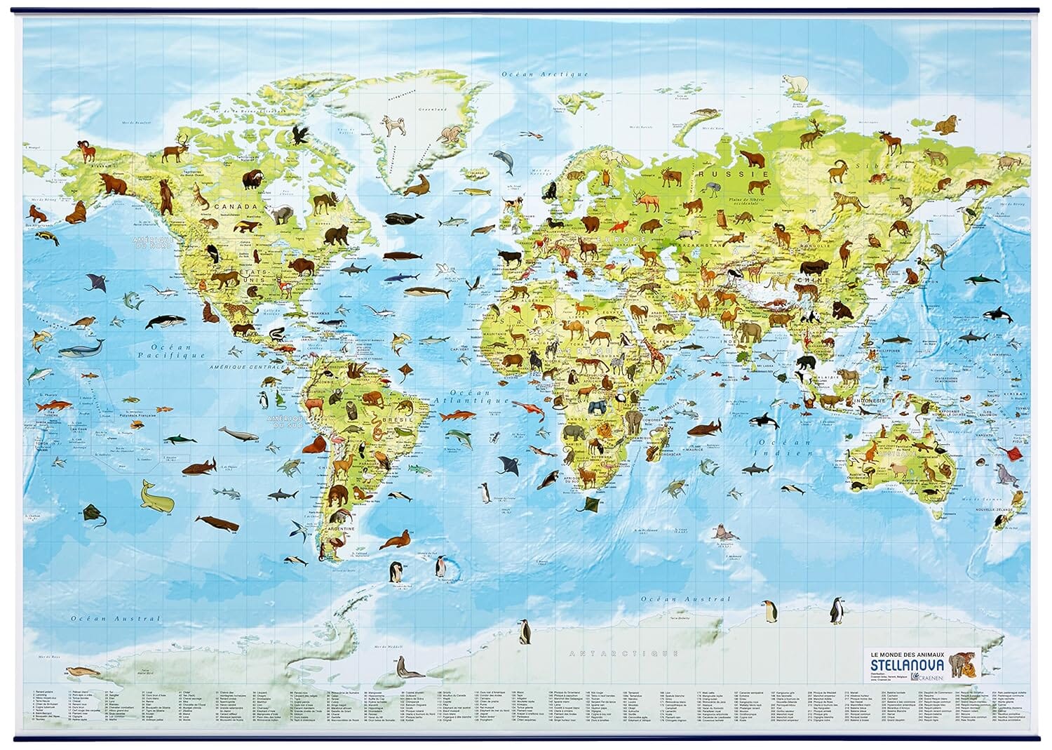 Carte murale illustrée pour enfants (plastifiée avec baguettes métalliques) - Les animaux du monde (137 x 97 cm) | Stellanova carte murale roulée (en tube) Stellanova 