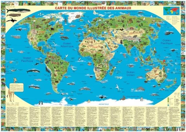 Carte murale illustrée pour enfants (plastifiée) - Le Monde des animaux (en anglais) - 100 x 70 cm | Krüger & Schönhoff carte murale roulée (en tube) Krüger & Schönhoff