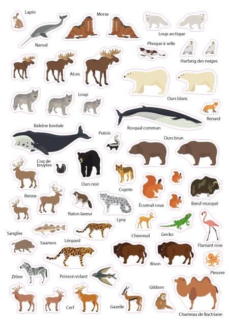 Carte murale plastifiée pour enfants - Monde des animaux (84 x 60 cm), avec 140 autocollants | GeoMetro carte murale roulée (en tube) GeoMetro