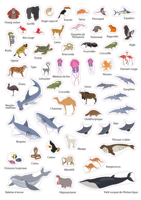 Carte murale plastifiée pour enfants - Monde des animaux (84 x 60 cm), avec 140 autocollants | GeoMetro carte murale roulée (en tube) GeoMetro