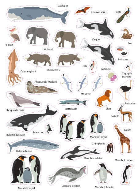 Carte murale plastifiée pour enfants - Monde des animaux (84 x 60 cm), avec 140 autocollants | GeoMetro carte murale roulée (en tube) GeoMetro
