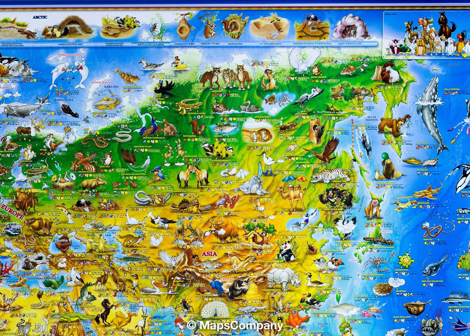Carte murale pour enfants avec lattes métalliques de maintien - Les animaux du monde (plastifiée, en anglais) - 137 x 100 cm | Dino carte murale roulée (en tube) Dino's Maps