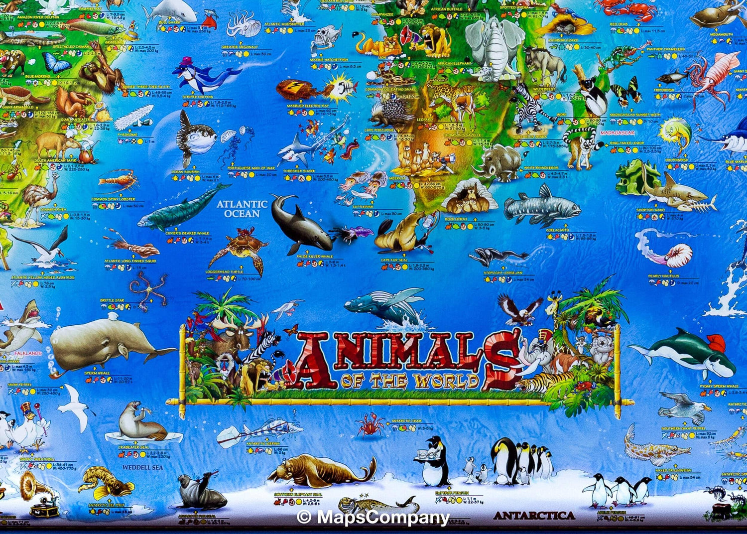 Carte murale pour enfants avec lattes métalliques de maintien - Les animaux du monde (plastifiée, en anglais) - 137 x 100 cm | Dino carte murale roulée (en tube) Dino's Maps