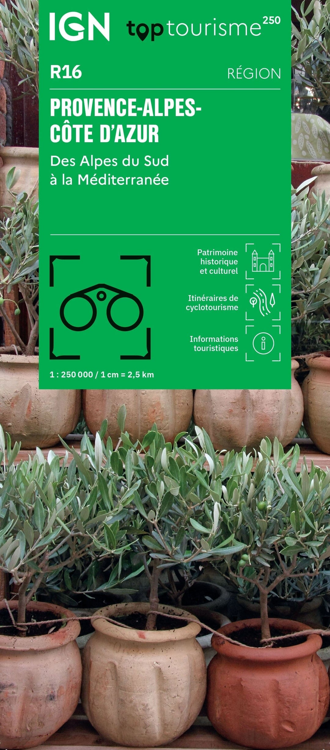Carte régionale TOP 250 n° 16 - Provence-Alpes-Côte D'Azur, des Alpes du Sud à la Méditerranée | IGN carte pliée IGN 
