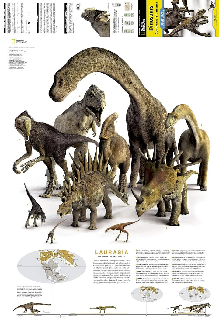 Carte thématique - Dinosaures du Gondwana & de la Laurasie | National Geographic carte routière National Geographic