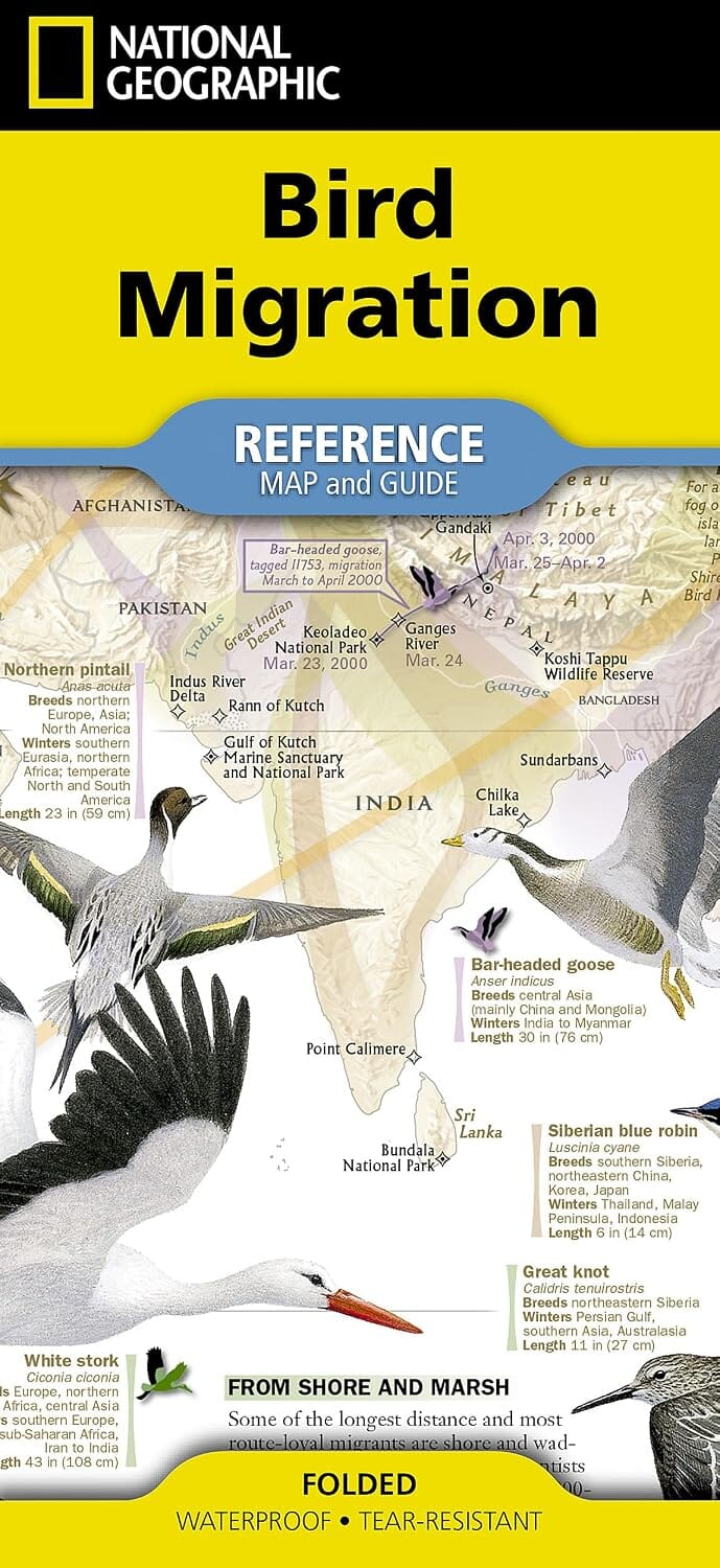 Carte thématique - Migration des oiseaux | National Geographic carte routière National Geographic
