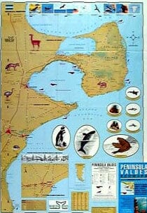 Carte touristique - Péninsule de Valdes Ecomapa | Zagier y Urruty carte routière Zagier y Urruty 