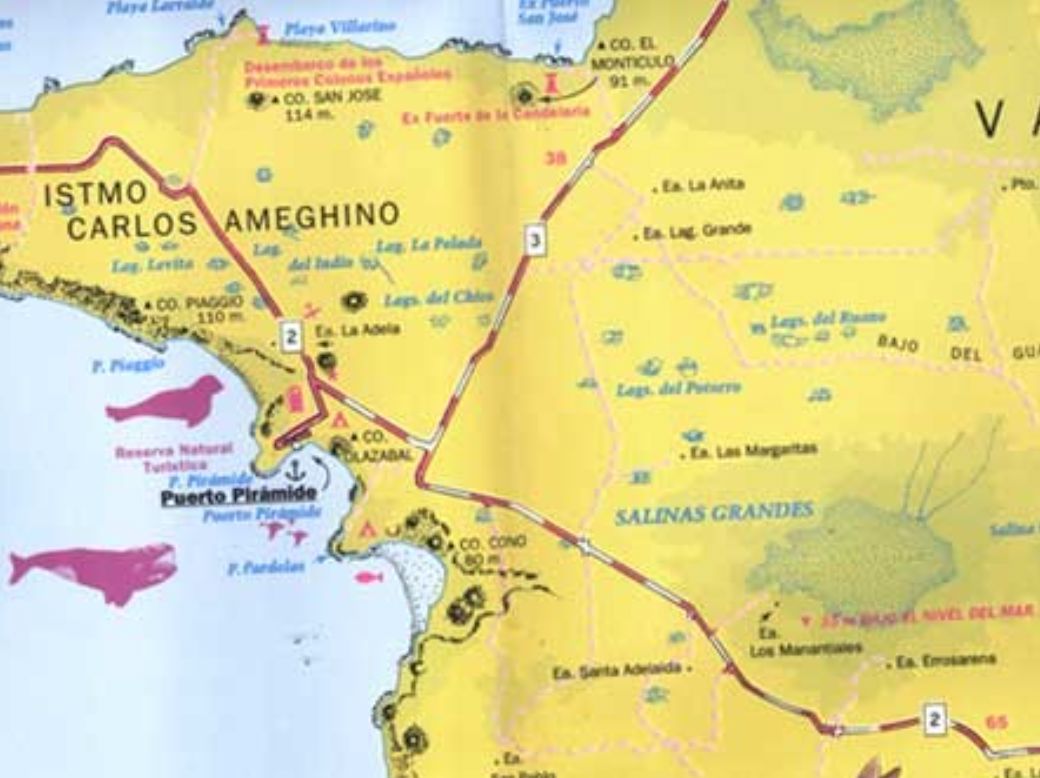 Carte touristique - Péninsule de Valdes Ecomapa | Zagier y Urruty carte routière Zagier y Urruty 