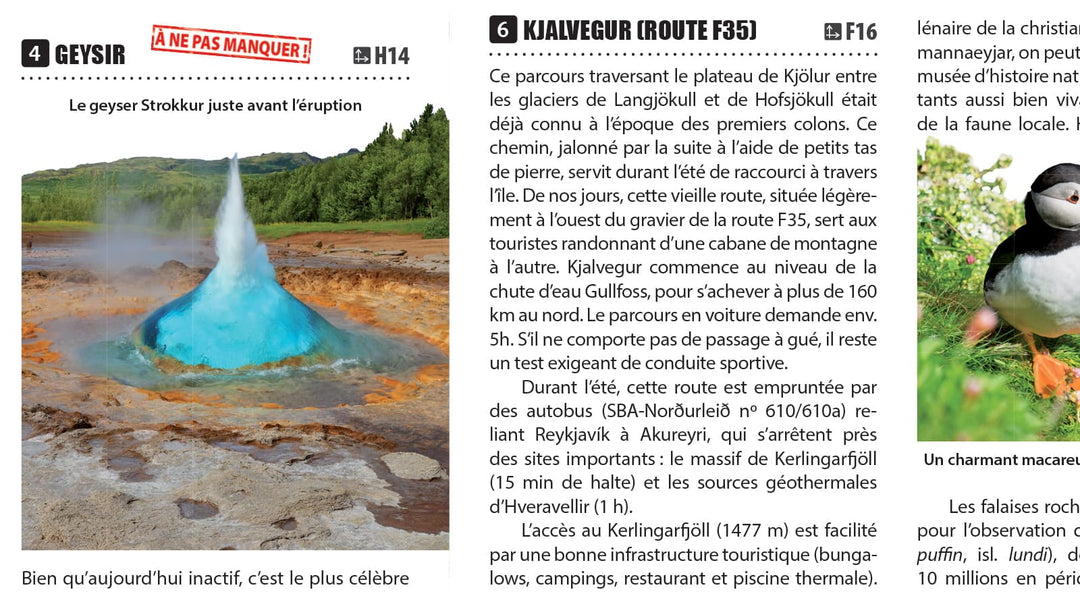 Carte touristique plastifiée XXL - Islande | TerraQuest carte pliée Terra Quest 