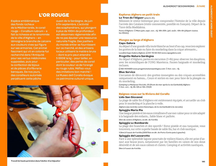 Géoguide (coups de coeur) - Sardaigne - Édition 2024 | Gallimard guide de voyage Gallimard 