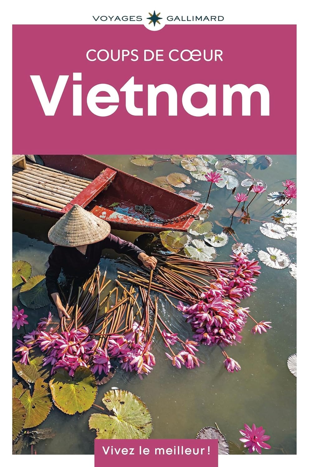 Géoguide (coups de coeur) - Vietnam - Édition 2025 | Gallimard guide de voyage Gallimard 