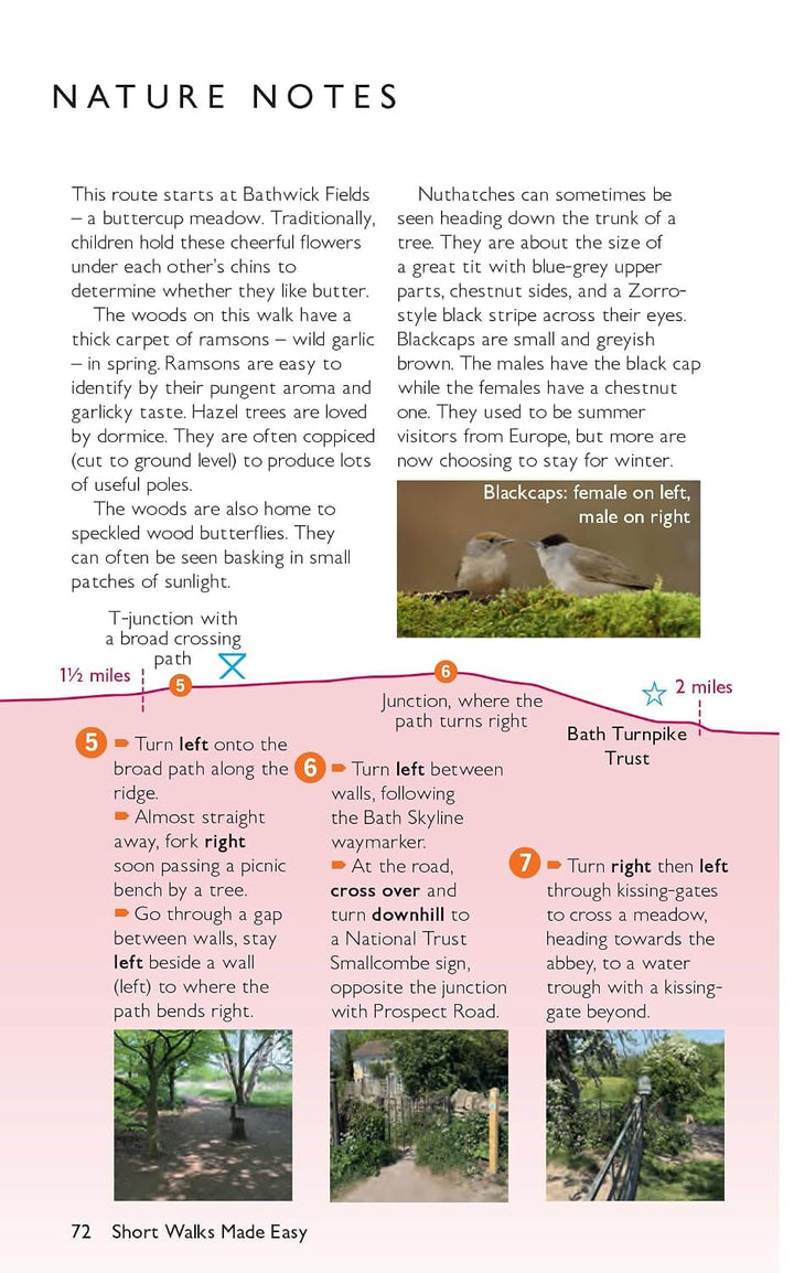 Guide de balades (en anglais) - Birmingham | Ordnance Survey - Short Walks guide de randonnée Ordnance Survey
