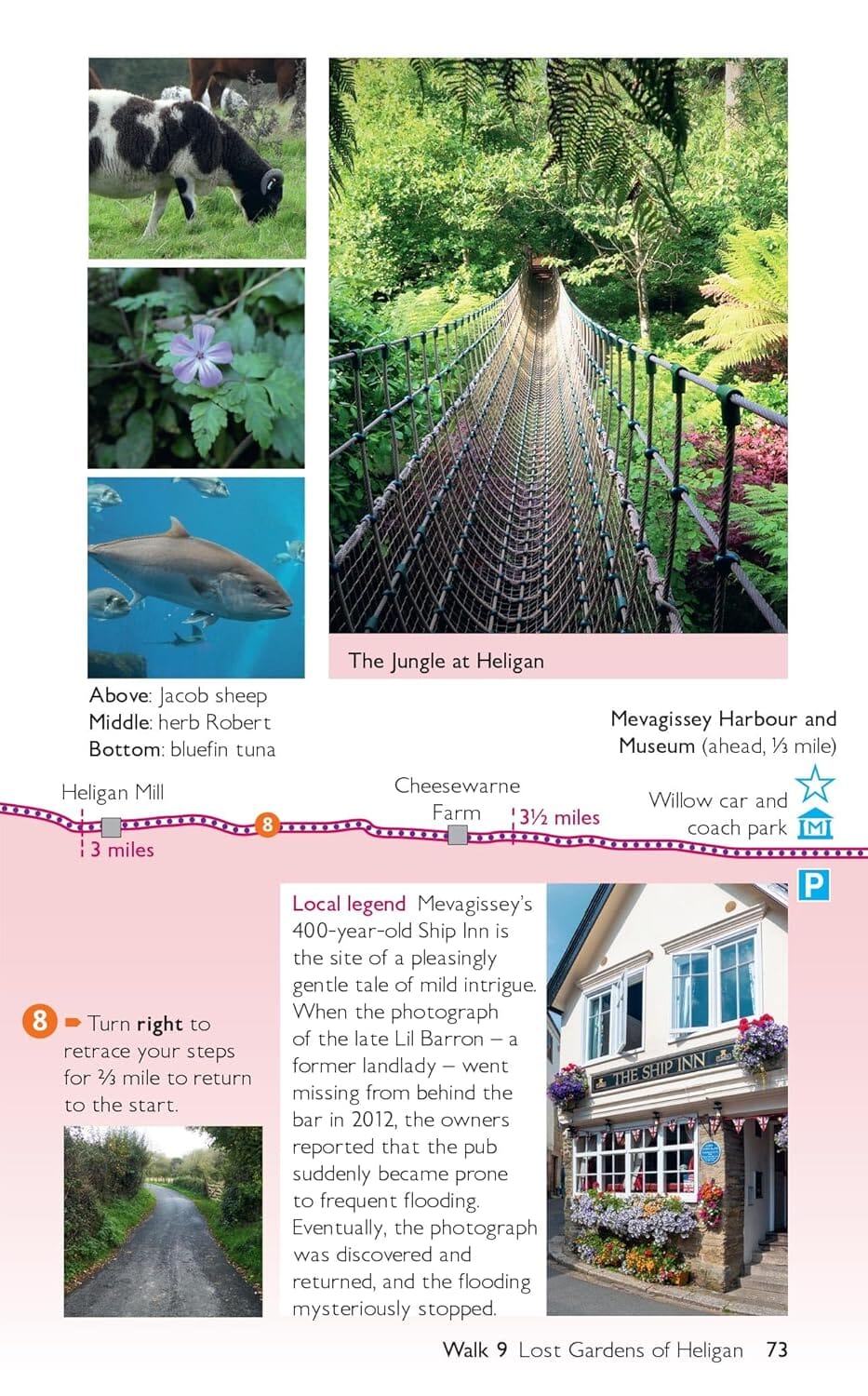 Guide de balades (en anglais) - Cornish Coast (Cornouailles) | Ordnance Survey - Short Walks guide de randonnée Ordnance Survey 