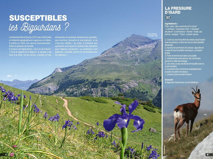 Guide de balades - Hautes-Pyrénées, vallées des gaves | Chamina guide de randonnée Chamina 