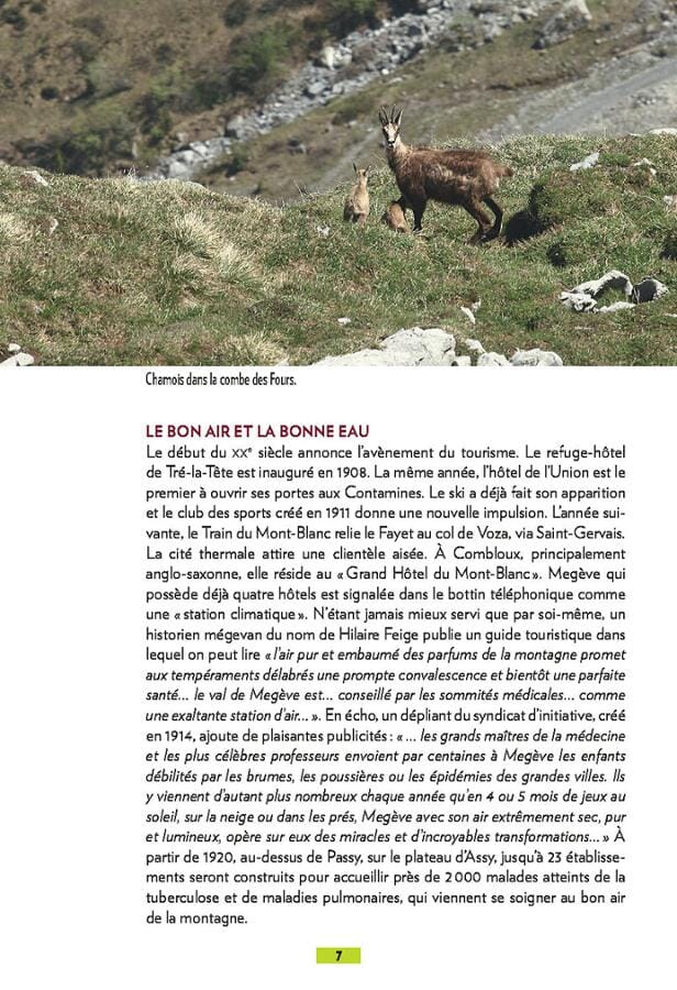 Guide de balades - Pays du Mont-Blanc, balades en famille | Glénat - P'tit Crapahut guide de randonnée Glénat 