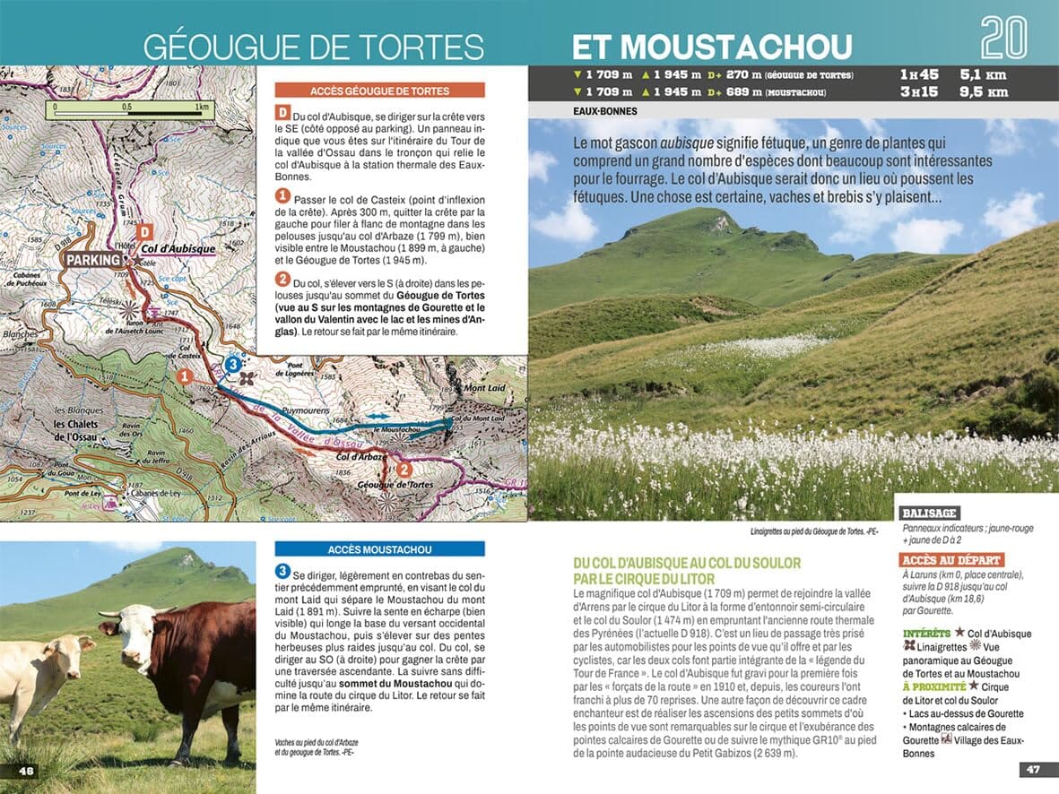 Guide de balades - Vallées d'Ossau, d'Aspe et de Barétous (Pyrénées) | Chamina guide de randonnée Chamina 