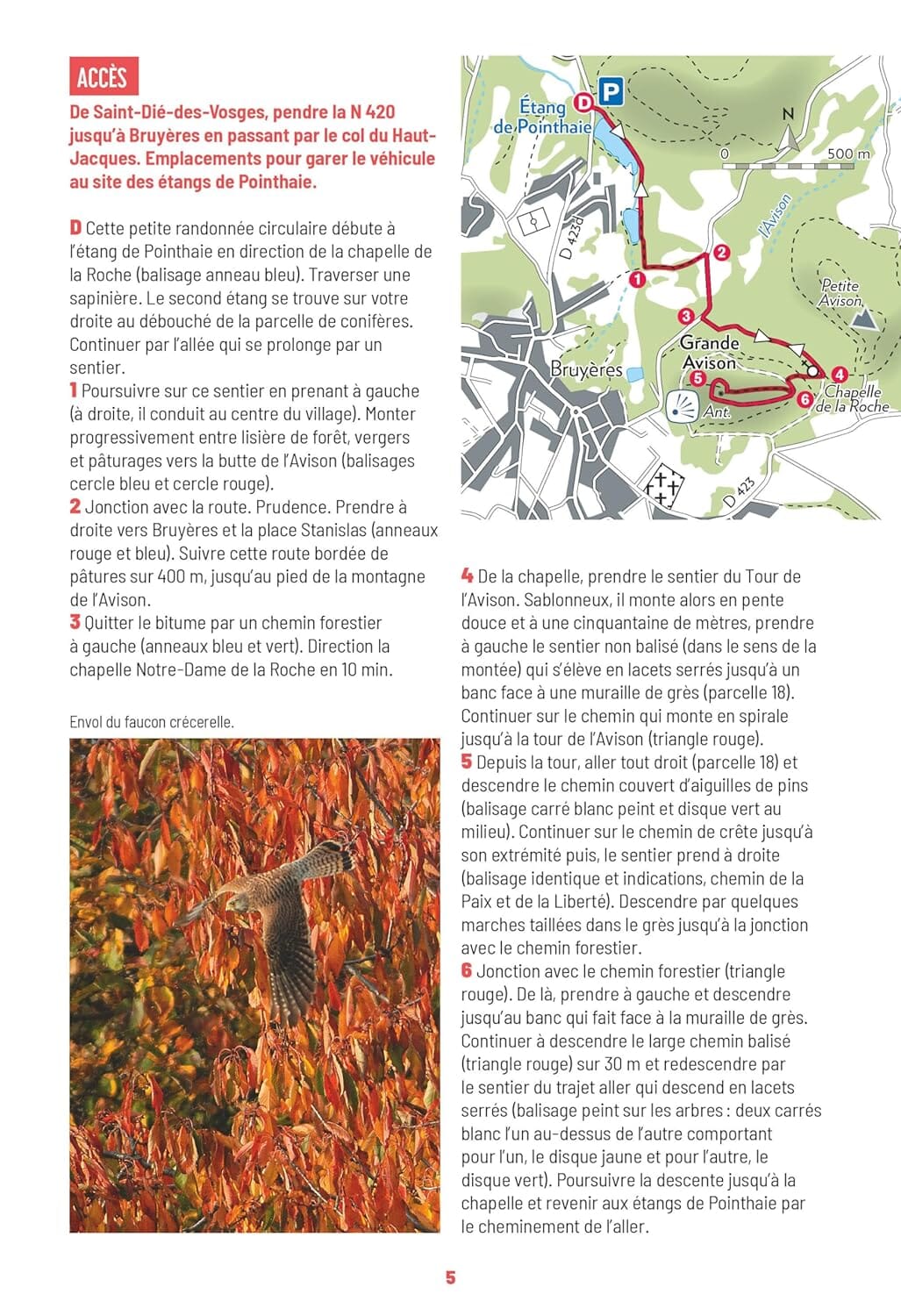 Guide de promenades - Vosges | Rando Editions - Les Sentiers d'Emilie guide de randonnée Rando Editions 