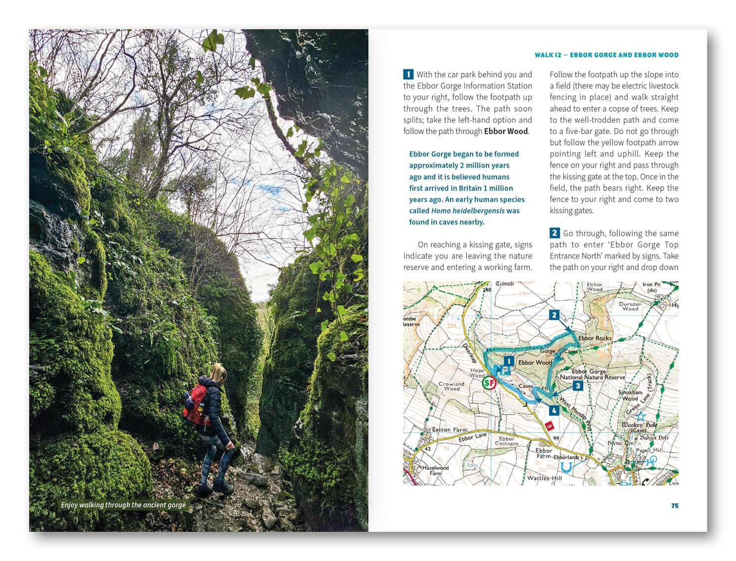 Guide de randonnées (en anglais) - Cheddar and the Mendips, 15 Short Walks | Cicerone guide de randonnée Cicerone 