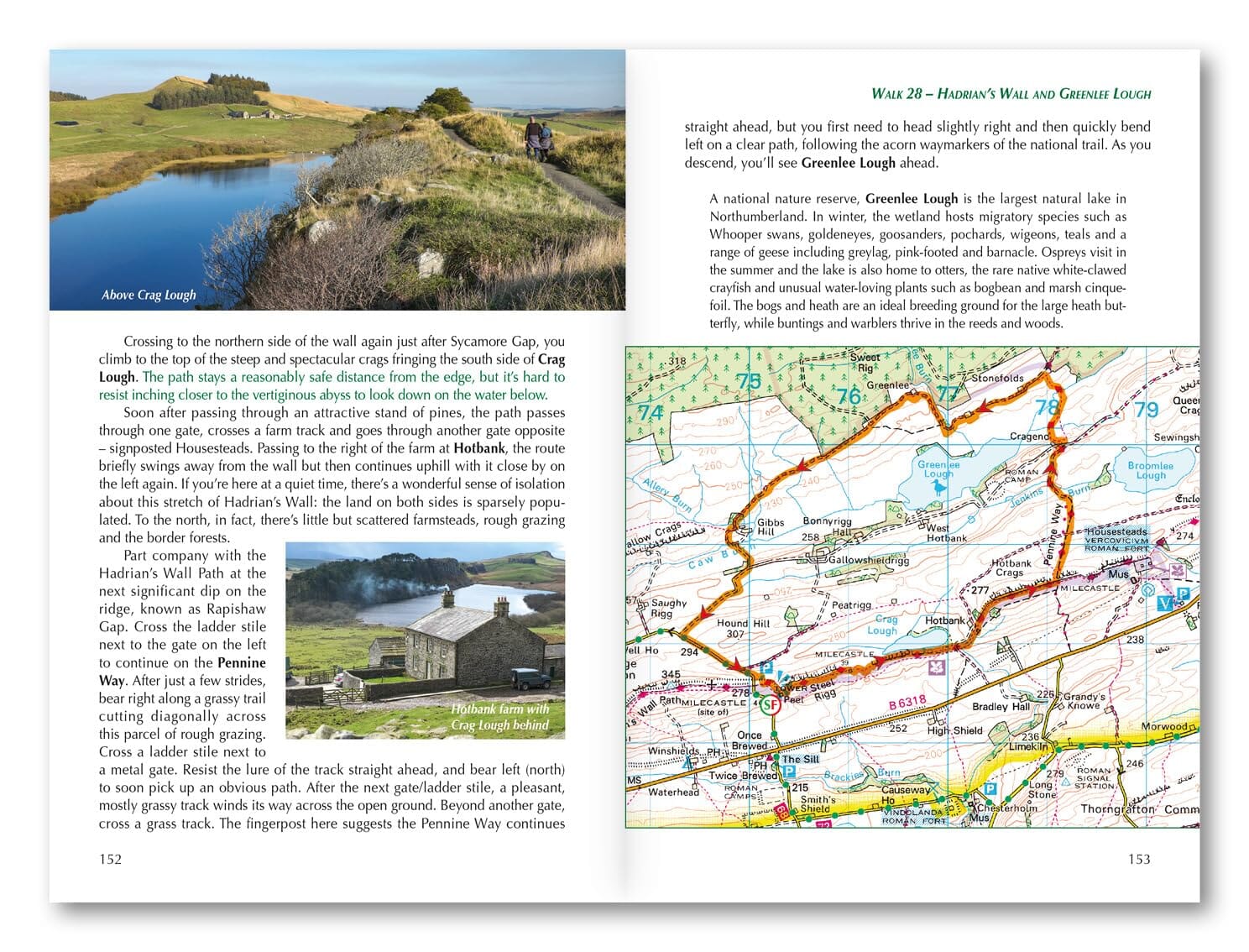 Guide de randonnées (en anglais) - Northumberland : 36 walks throughout the national park - Coast, Cheviots, Hadrian's Wall and Pennines | Cicerone guide de randonnée Cicerone 