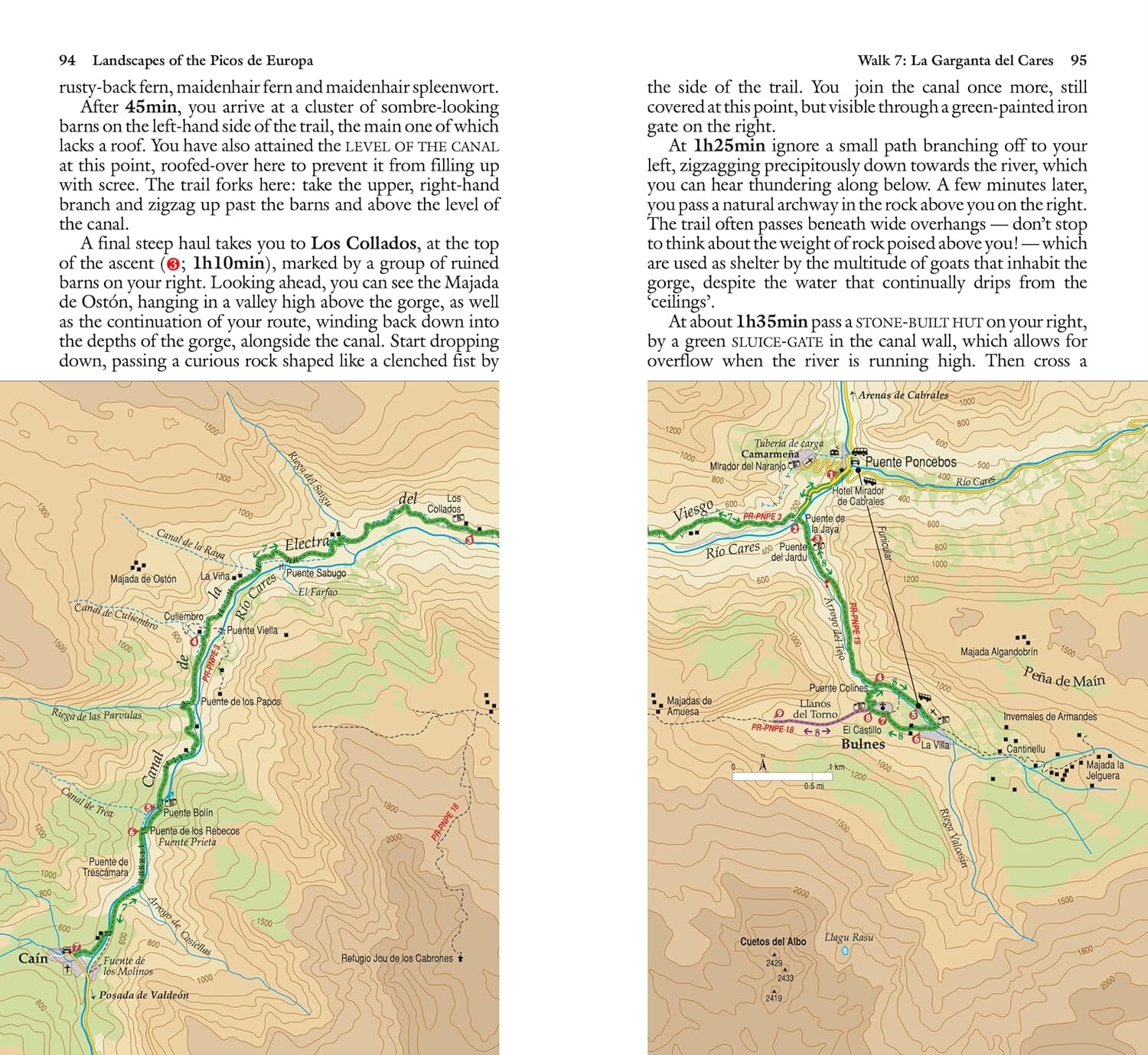 Guide de randonnées (en anglais) - Picos de Europa | Sunflower guide de randonnée Sunflower 