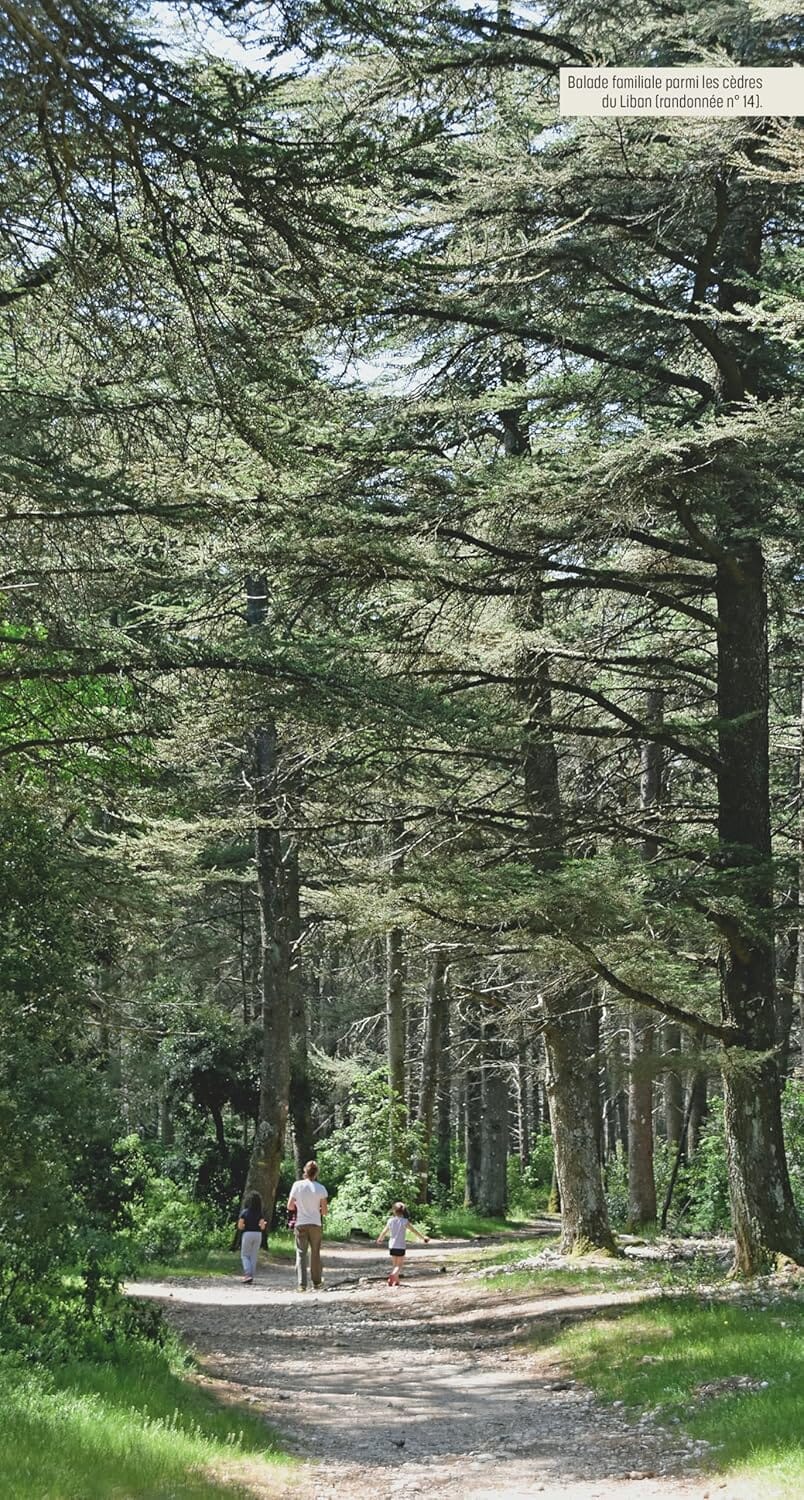 Guide de randonnées - Luberon, les plus belles randonnées | Glénat guide de randonnée Glénat 