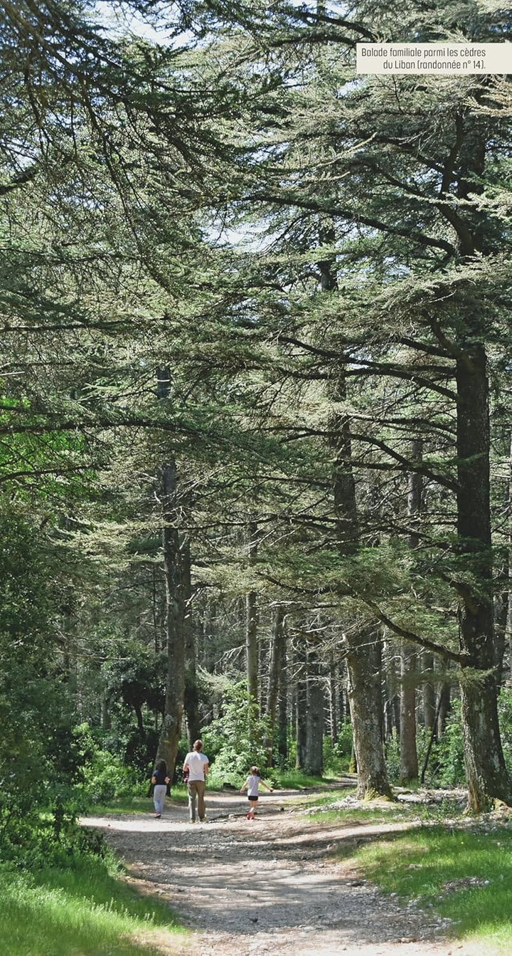 Guide de randonnées - Luberon, les plus belles randonnées | Glénat guide de randonnée Glénat 