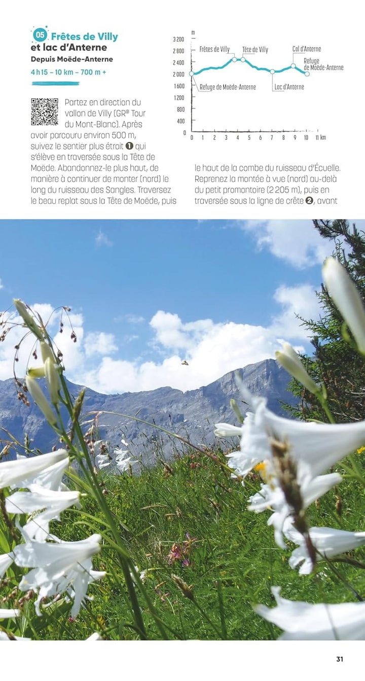Guide de randonnées - Vallée de Chamonix, les plus belles randonnées | Glénat guide de randonnée Glénat 