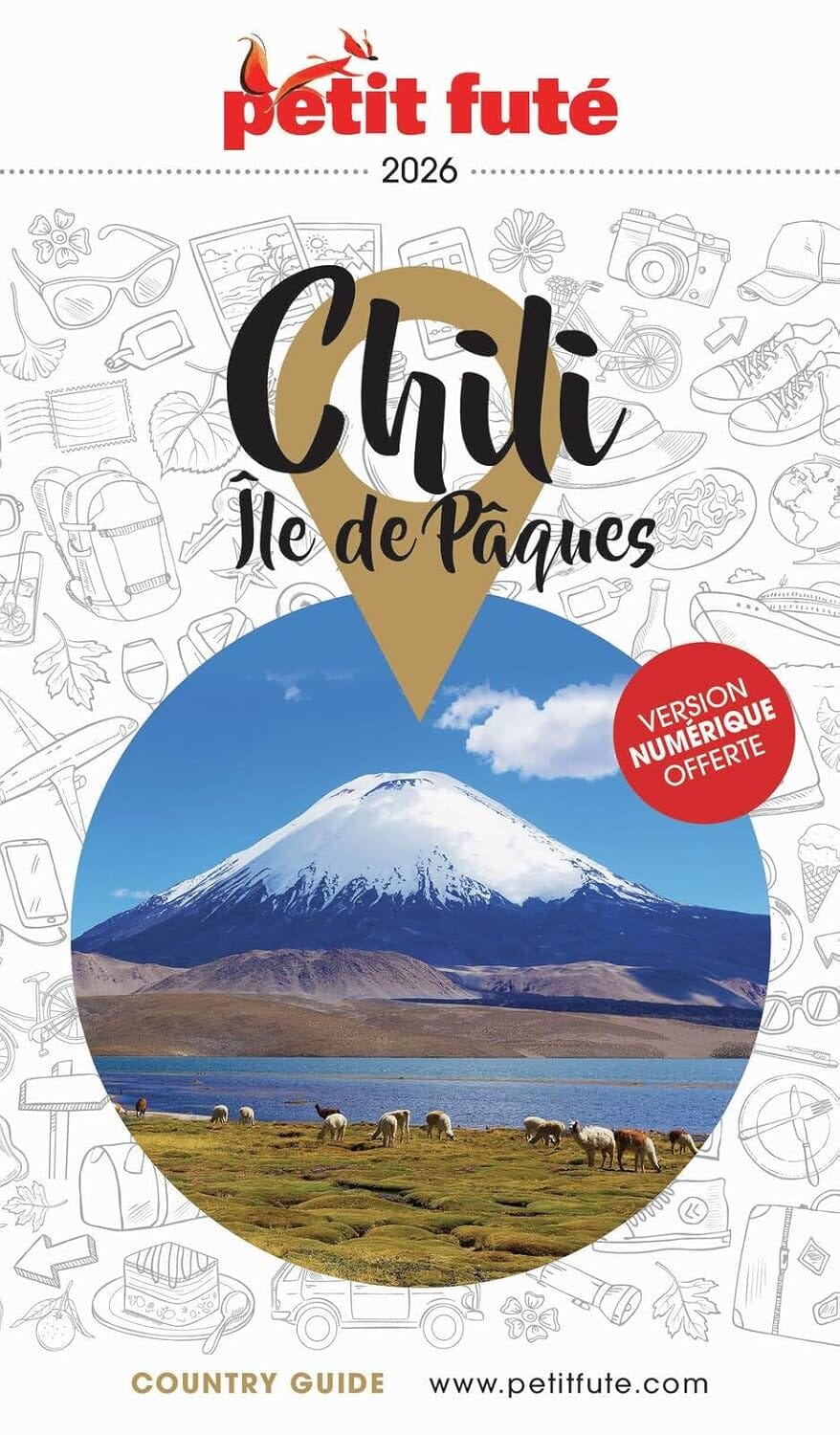 Guide de voyage - Chili & île de Pâques 2026 | Petit Futé guide de voyage Petit Futé 