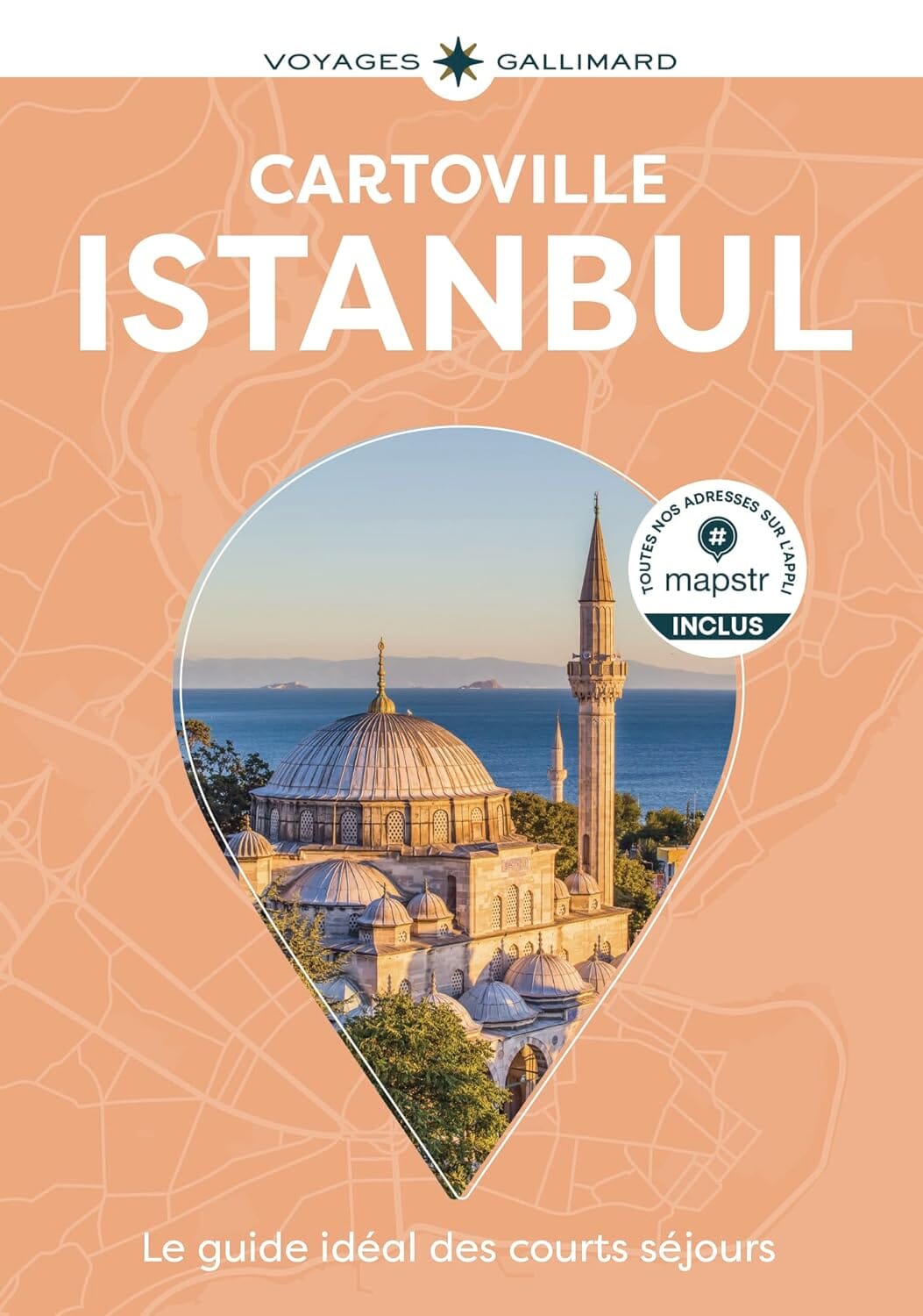 Guide de voyage de poche - Istanbul 2026 | Cartoville guide de voyage Gallimard 