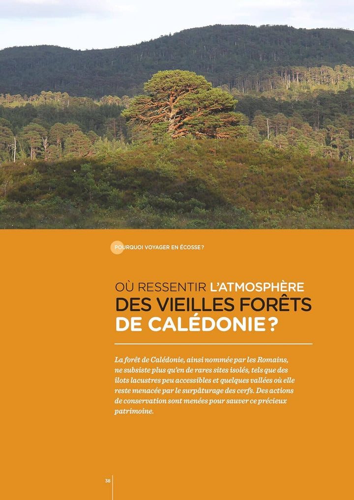Guide de voyage - Ecosse : les clés pour bien voyager - Édition 2024 | Glénat guide de voyage Glénat 