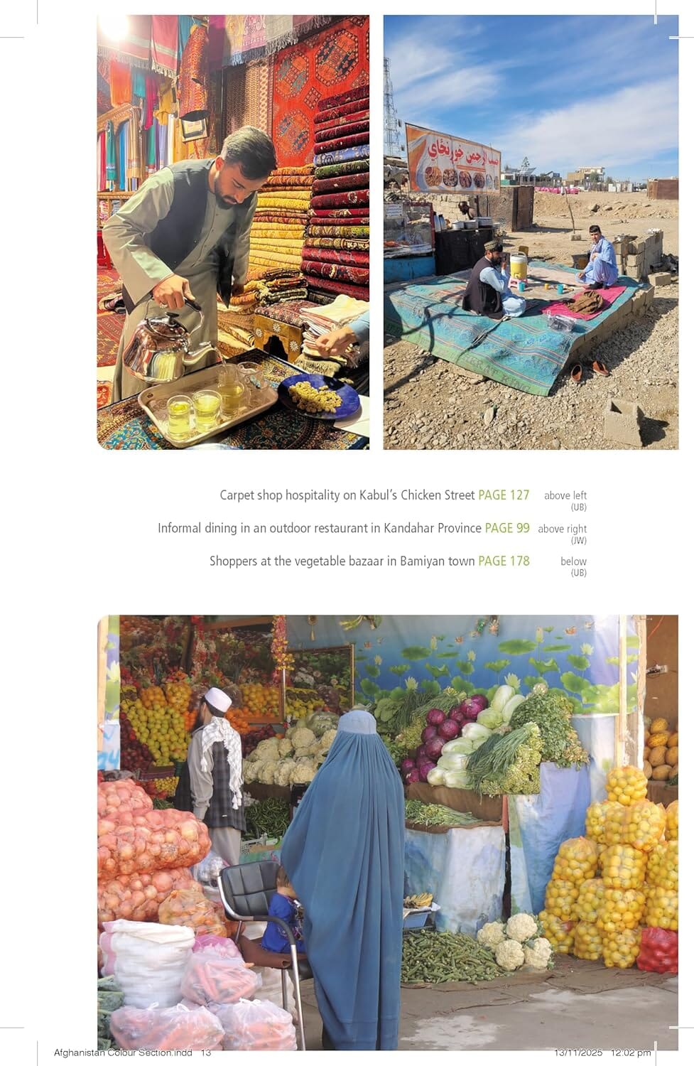 Guide de voyage (en anglais) - Afghanistan | Bradt guide de voyage Bradt 