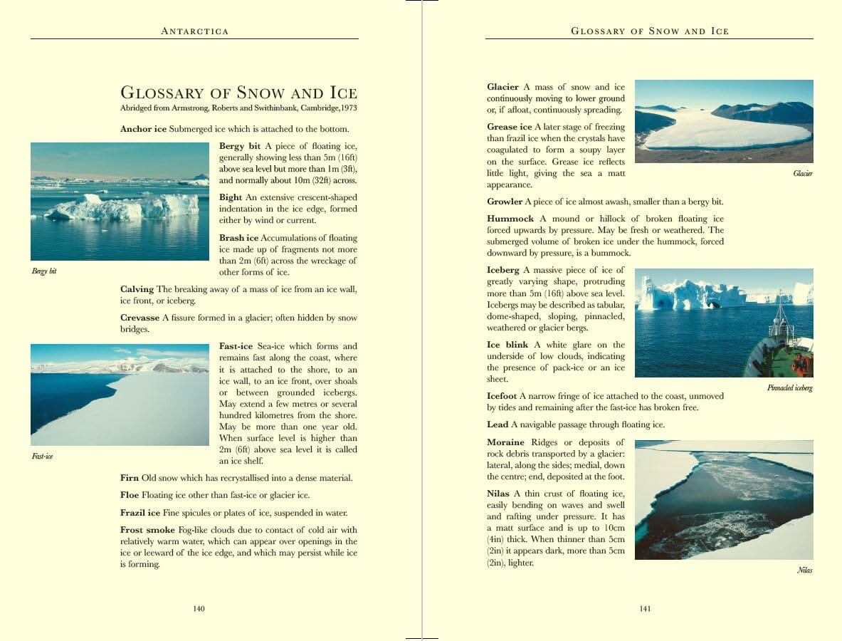Guide de voyage (en anglais) - Antarctica Wildlife - Édition 2025 | Bradt guide de voyage Bradt 