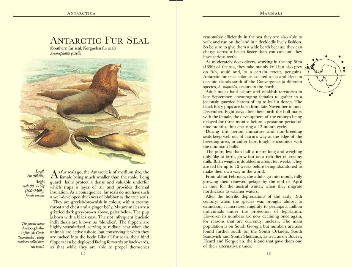 Guide de voyage (en anglais) - Antarctica Wildlife - Édition 2025 | Bradt guide de voyage Bradt 