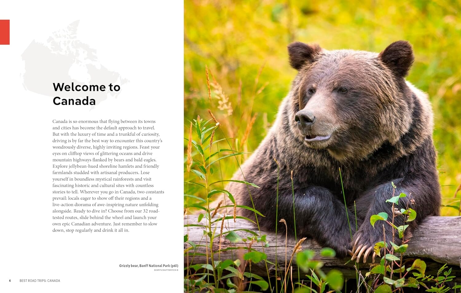 Guide de voyage (en anglais) - Canada's Best Road Trips - Édition 2024 | Lonely Planet guide de voyage Lonely Planet EN 