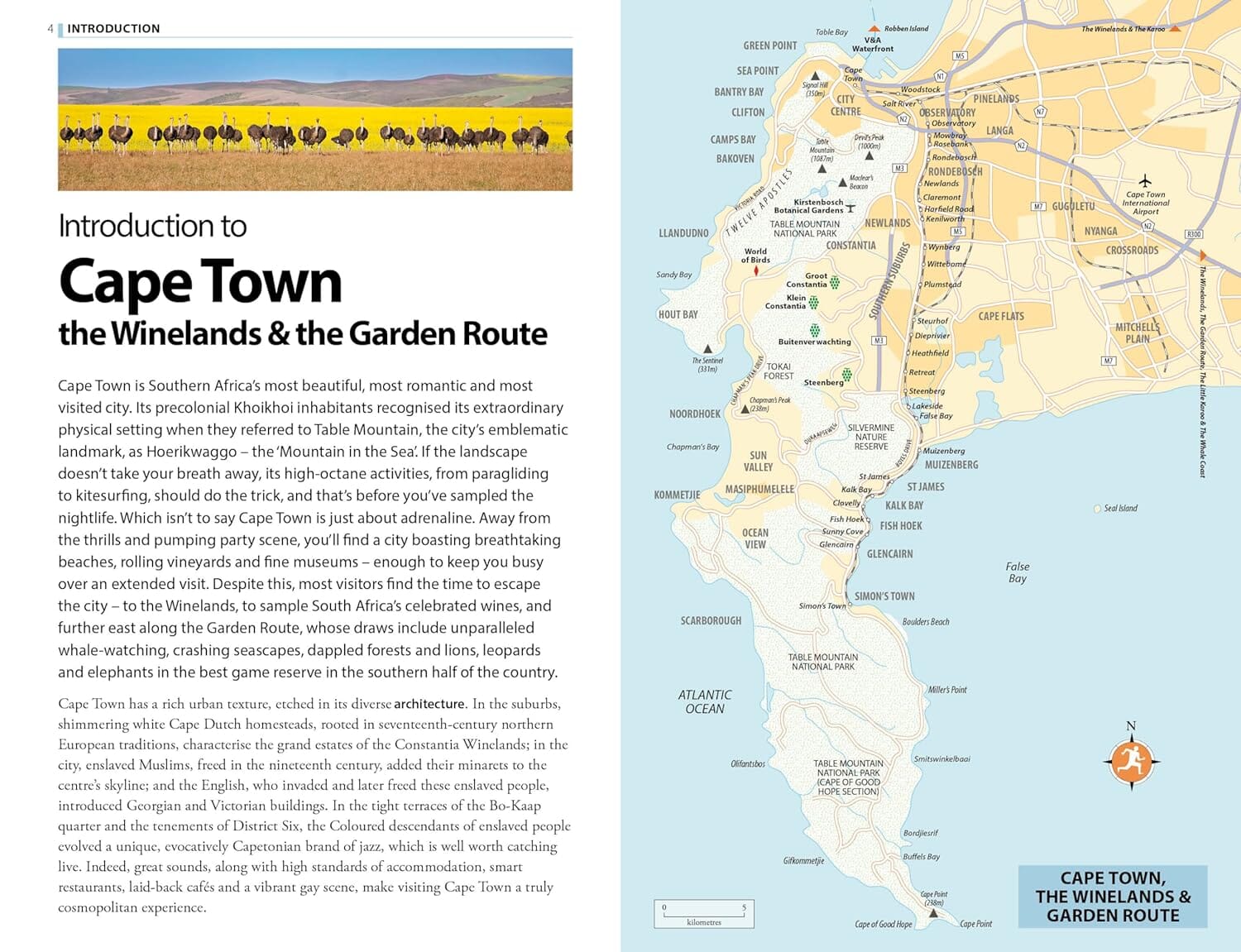 Guide de voyage (en anglais) - Cape Town, Winelands & Garden route - Édition 2024 | Rough Guides guide de voyage Rough Guides 