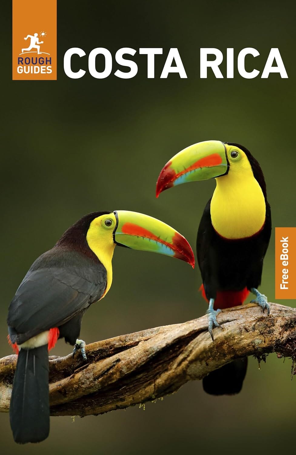 Guide de voyage (en anglais) - Costa Rica - Édition 2025 | Rough Guides guide de voyage Rough Guides 