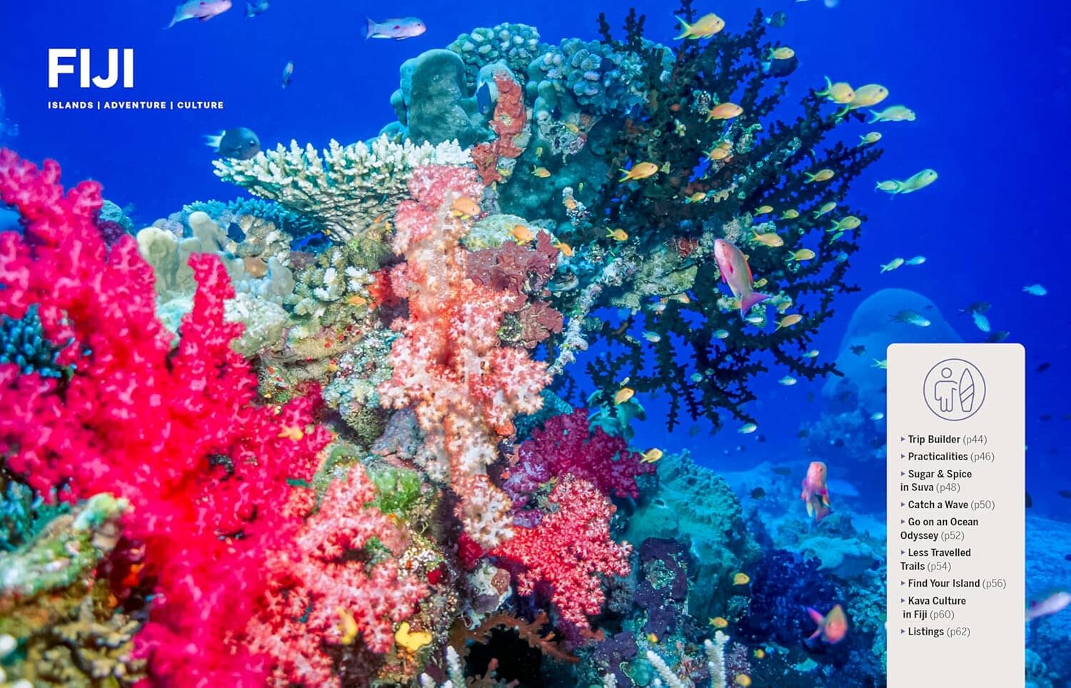 Guide de voyage (en anglais) - Experience South Pacific - Édition 2025 | Lonely Planet guide de voyage Lonely Planet EN 