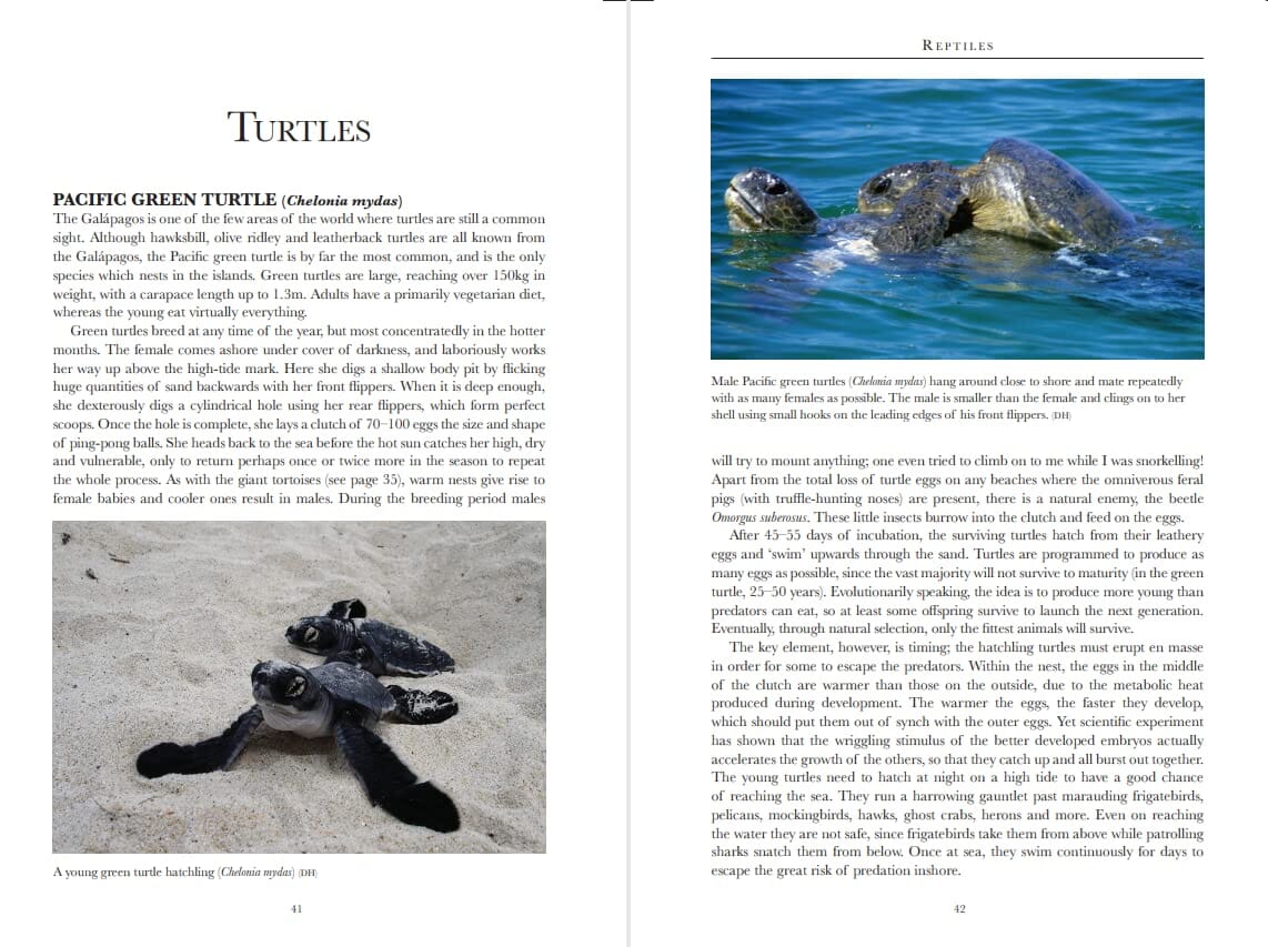 Guide de voyage (en anglais) - Galapagos Wildlife | Bradt guide de voyage Bradt 