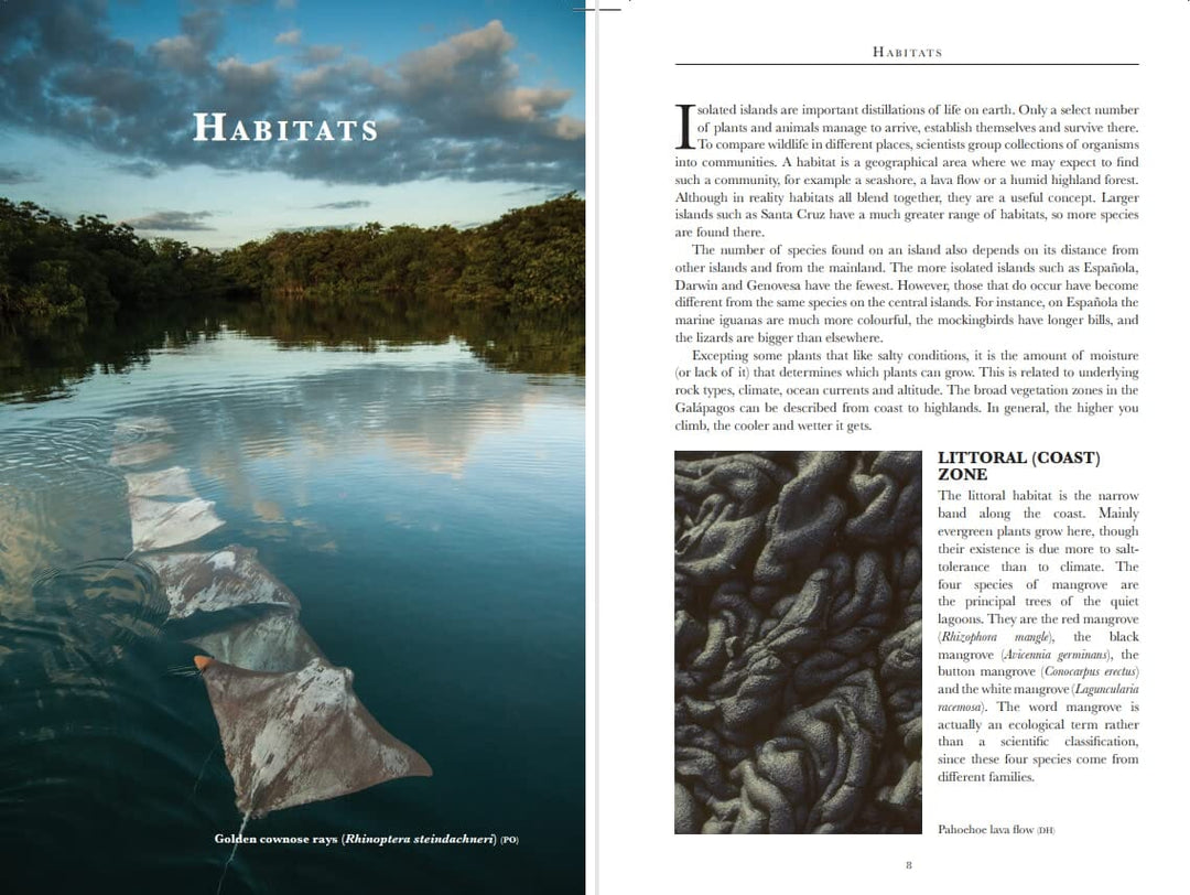 Guide de voyage (en anglais) - Galapagos Wildlife | Bradt guide de voyage Bradt 