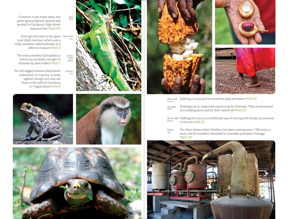 Guide de voyage (en anglais) - Grenada : Carriacou & Petite Martinique | Bradt guide de voyage Bradt 