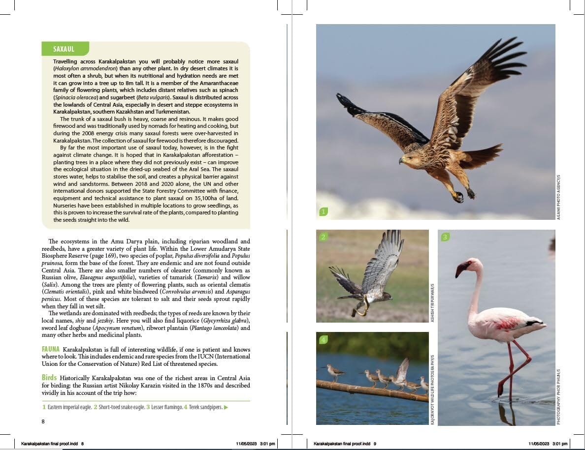 Guide de voyage (en anglais) - Karakalpakstan | Bradt guide de voyage Bradt 