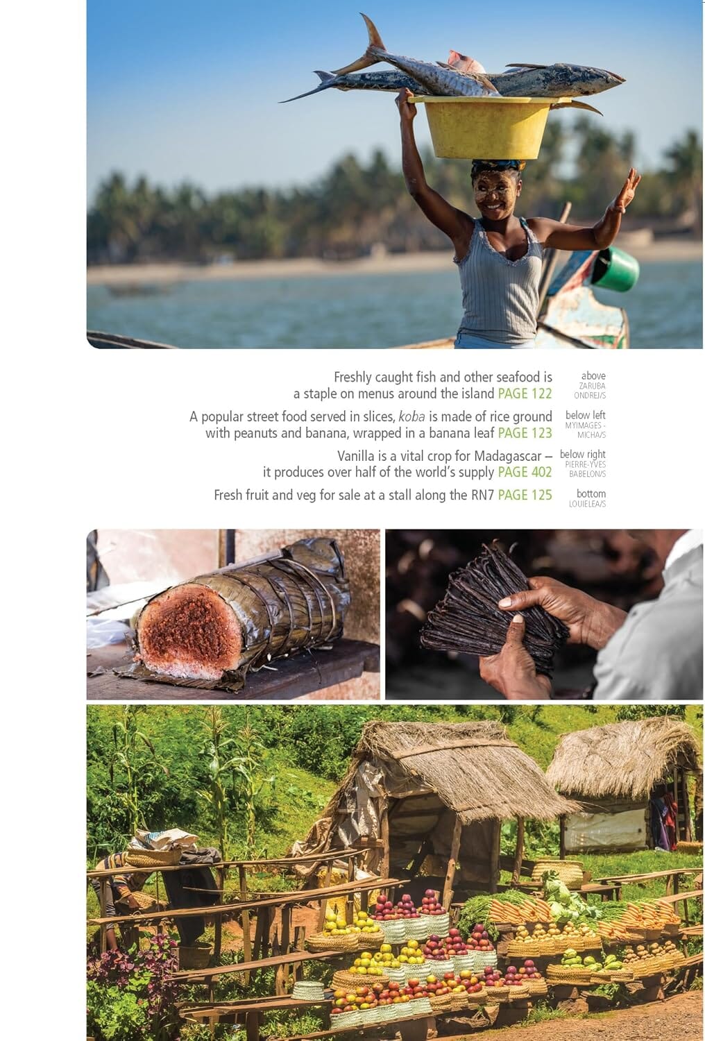 Guide de voyage (en anglais) - Madagascar 2026 | Bradt guide de voyage Bradt 
