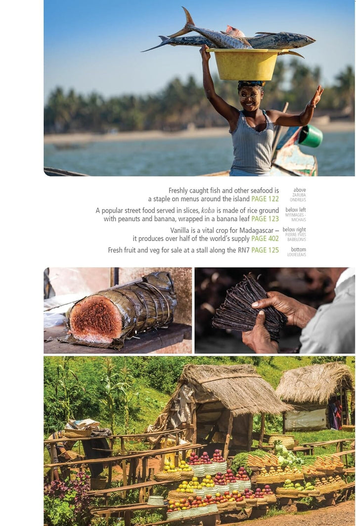 Guide de voyage (en anglais) - Madagascar 2026 | Bradt guide de voyage Bradt 