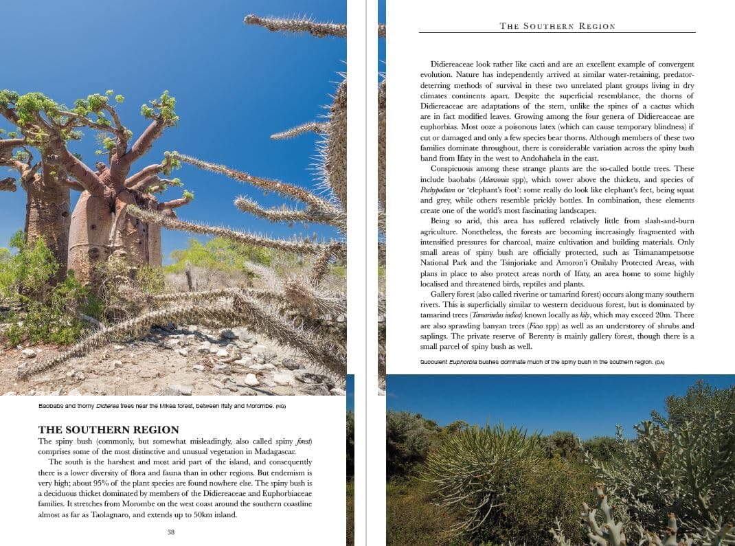 Guide de voyage (en anglais) - Madagascar Wildlife | Bradt guide de voyage Bradt 