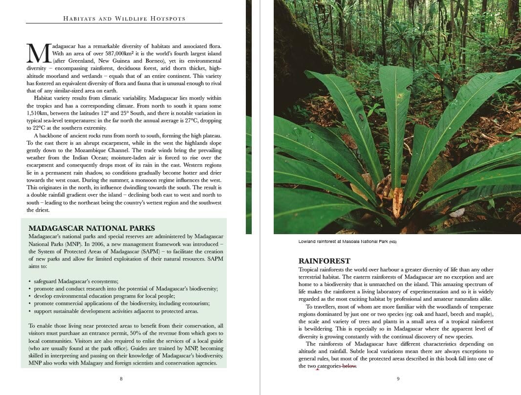 Guide de voyage (en anglais) - Madagascar Wildlife | Bradt guide de voyage Bradt 