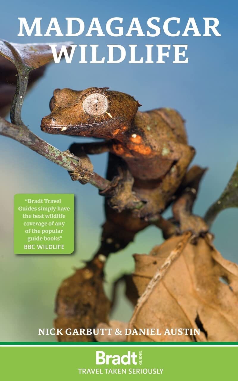 Guide de voyage (en anglais) - Madagascar Wildlife | Bradt guide de voyage Bradt 